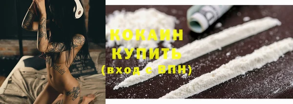 твердый Богородск