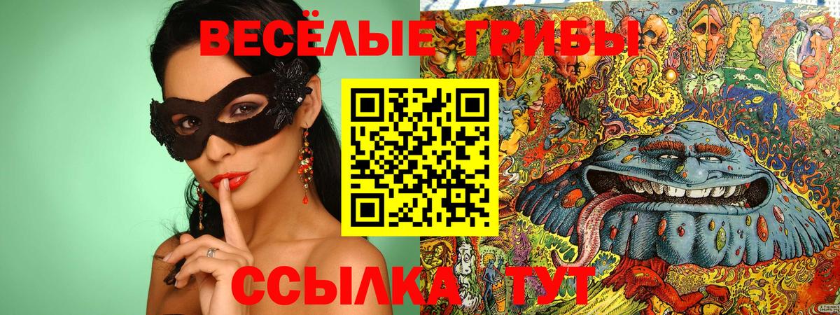 Бузулук  Псилоцибиновые грибы прущие грибы  Вход с VPN 