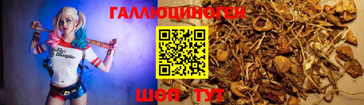 Галлюциногенные грибы MAGIC MUSHROOMS Бузулук